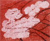 茜桜　河原碧子